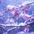 animoonly