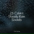 Wave Sound Group, Yoga Namaste, Rain Sounds Rain
