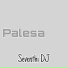 Seventhi DJ