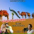 Tiku Ram Panwar