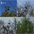 Асфіксія