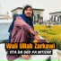 Wali Ullah Zarkawi
