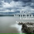 Bayram METLİLER