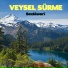 Veysel Sürme