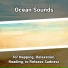 Natural Sounds, Ocean Sounds, Nature Sounds