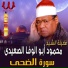 Al Sheikh Mahmoud Abo Al Wafa Al Seidy