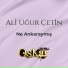 Ali Uğur Çetin