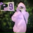 PMUL99