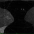 SXTXRMANE, Alex Pristupa