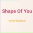 Tumelo Manyoni
