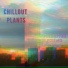 Chillout Plants