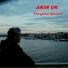 Akın Ok