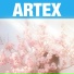 ARTEX