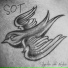 Sot