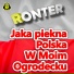 Ronter