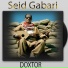 Seid Gabari