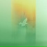 Rvnsp