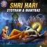 Ketaki Bhave-Joshi
