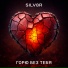 SILV8R