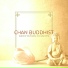 Chinese Yang Qin Relaxation Man, Zen Meditation