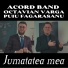 Acord Band feat. Octavian Varga, Puiu Fagarasanu