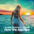 Now We Are Free (feat. Abigail)