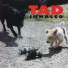 TAD