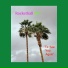 Rocketball 007
