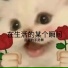 Dsll