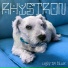 Rhystron