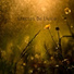 Sample Rain Library, Rain Sounds Factory STHLM