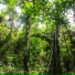 Nature Sounds Winds