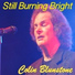 Colin Blunstone