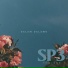 SP3 Project