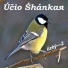 Účio Śhánkaя