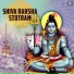 Vishwajeet Borwankar