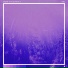 Solstis