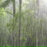 Rain & Sleep