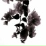 sodistilled