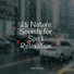 Natural Sound Makers, Sons da natureza HD, Spa
