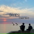 OITNESI