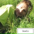 StarDj