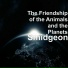 The Friendship of the Animals and the Planets