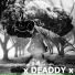 X Deaddy X