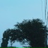 inalery