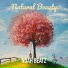 Noah Beatz