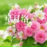 鱼天锋