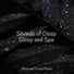 Study Zone, Musique Zen Garden, Zen