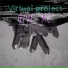Virtual Project