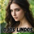 Son Paraná, Son Andino